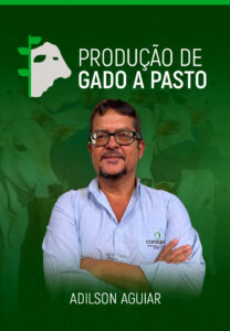 Produçao-de-gado